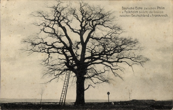Ak Phlin Meurthe et Moselle, Deutsche Eiche